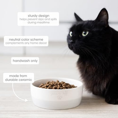 Pearhead Ceramic Bowl, Holds 2 Cups, Cute Whisker-Friendly Dish with Cat Face Design, Non-Slip, Microwave and Dishwasher Safe, Small/Medium
