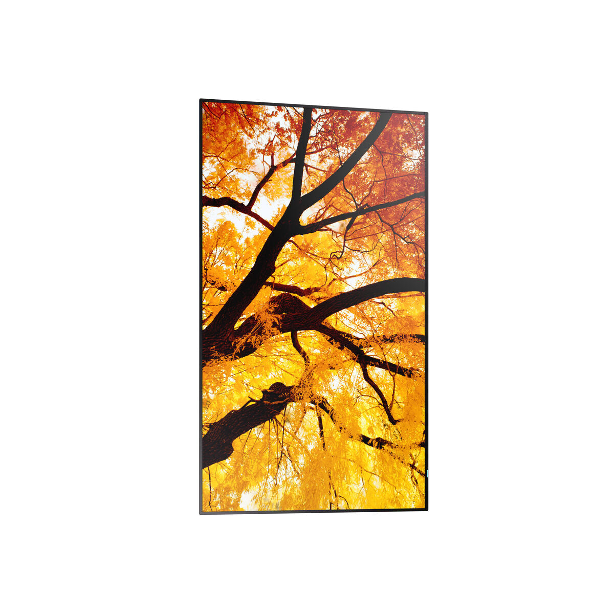 V2HC15D3F8D3C9BE548D7C53649EFAD04E9R7465282P1