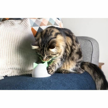 V6H1BDC6716293BC65F4D66B6769804C1FCR5304064P5