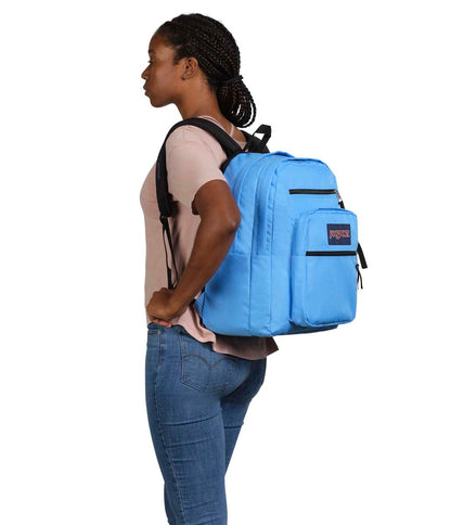 JanSport Laptop Backpack - Computer Bag with 2 Compartments, Ergonomic Shoulder Straps, 15” Laptop Sleeve, Haul Handle - Book Rucksack - Strawberry Shower