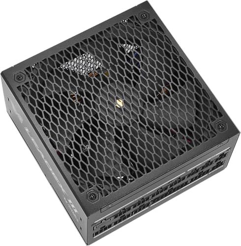 Super Flower Leadex III ATX 3.1 1000W, Cybenetics Platinum, 80+ Gold, 10 Jahre Garantie, ECO-Modus (halblüfterlos), FDB-Lüfter mit Kupferwelle, vollmodulares Netzteil, SF-1000F14GE, Schwarz