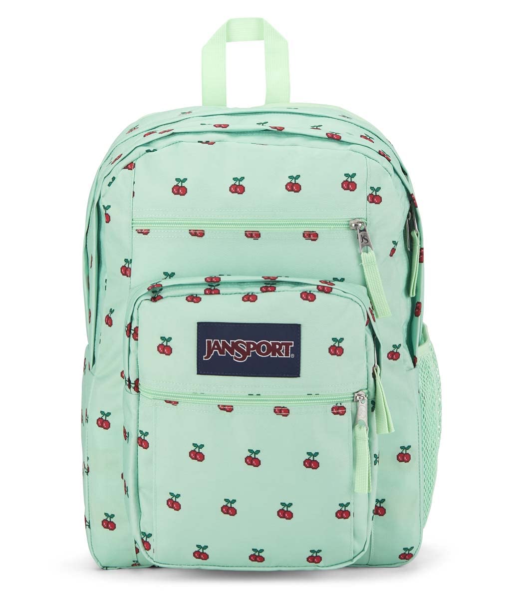 JanSport Laptop Backpack - Computer Bag with 2 Compartments, Ergonomic Shoulder Straps, 15” Laptop Sleeve, Haul Handle - Book Rucksack - Strawberry Shower