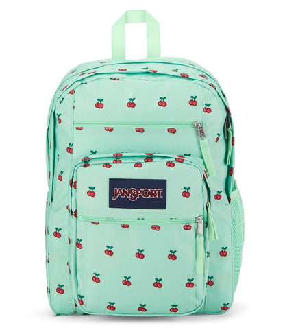 JanSport Laptop Backpack - Computer Bag with 2 Compartments, Ergonomic Shoulder Straps, 15” Laptop Sleeve, Haul Handle - Book Rucksack - Strawberry Shower