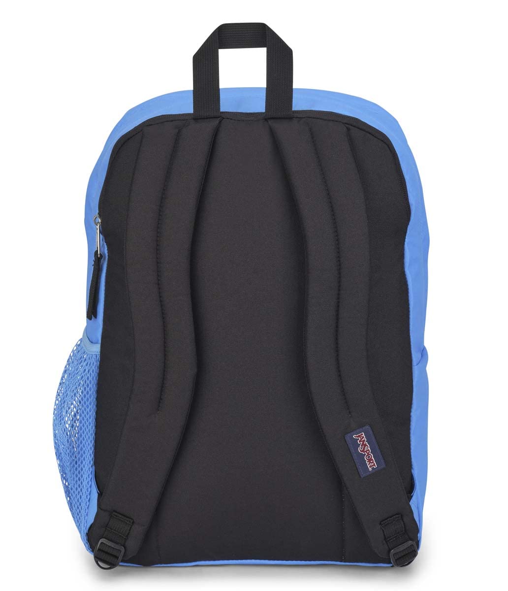 JanSport Laptop Backpack - Computer Bag with 2 Compartments, Ergonomic Shoulder Straps, 15” Laptop Sleeve, Haul Handle - Book Rucksack - Strawberry Shower