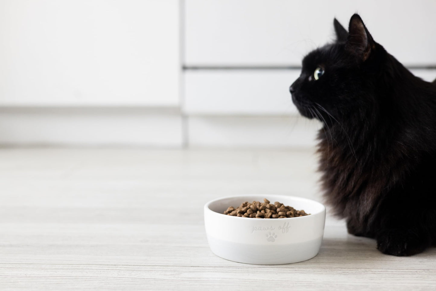 Pearhead Ceramic Bowl, Holds 2 Cups, Cute Whisker-Friendly Dish with Cat Face Design, Non-Slip, Microwave and Dishwasher Safe, Small/Medium