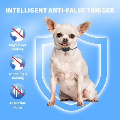 RICIVI Antibellhalsband für kleine Hunde, stromloses Antibellhalsband mit 7 Empfindlichkeitsstufen, 3 einstellbaren Modi (Piepton &amp; Vibration), IP67 wasserdicht – effektiv und tierschonend, Premium Schwarz