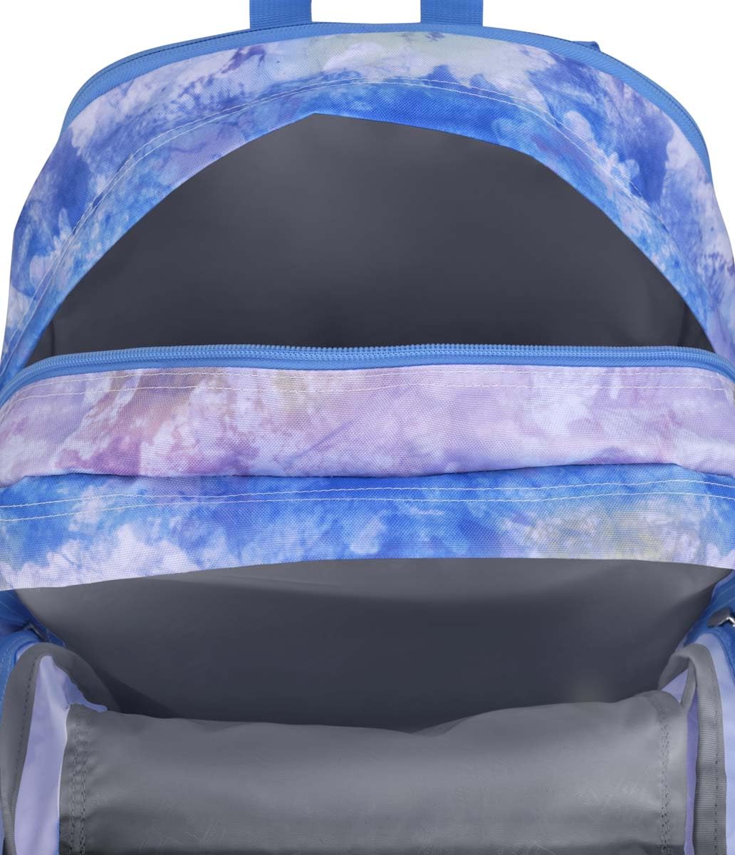 JanSport Laptop Backpack - Computer Bag with 2 Compartments, Ergonomic Shoulder Straps, 15” Laptop Sleeve, Haul Handle - Book Rucksack - Strawberry Shower