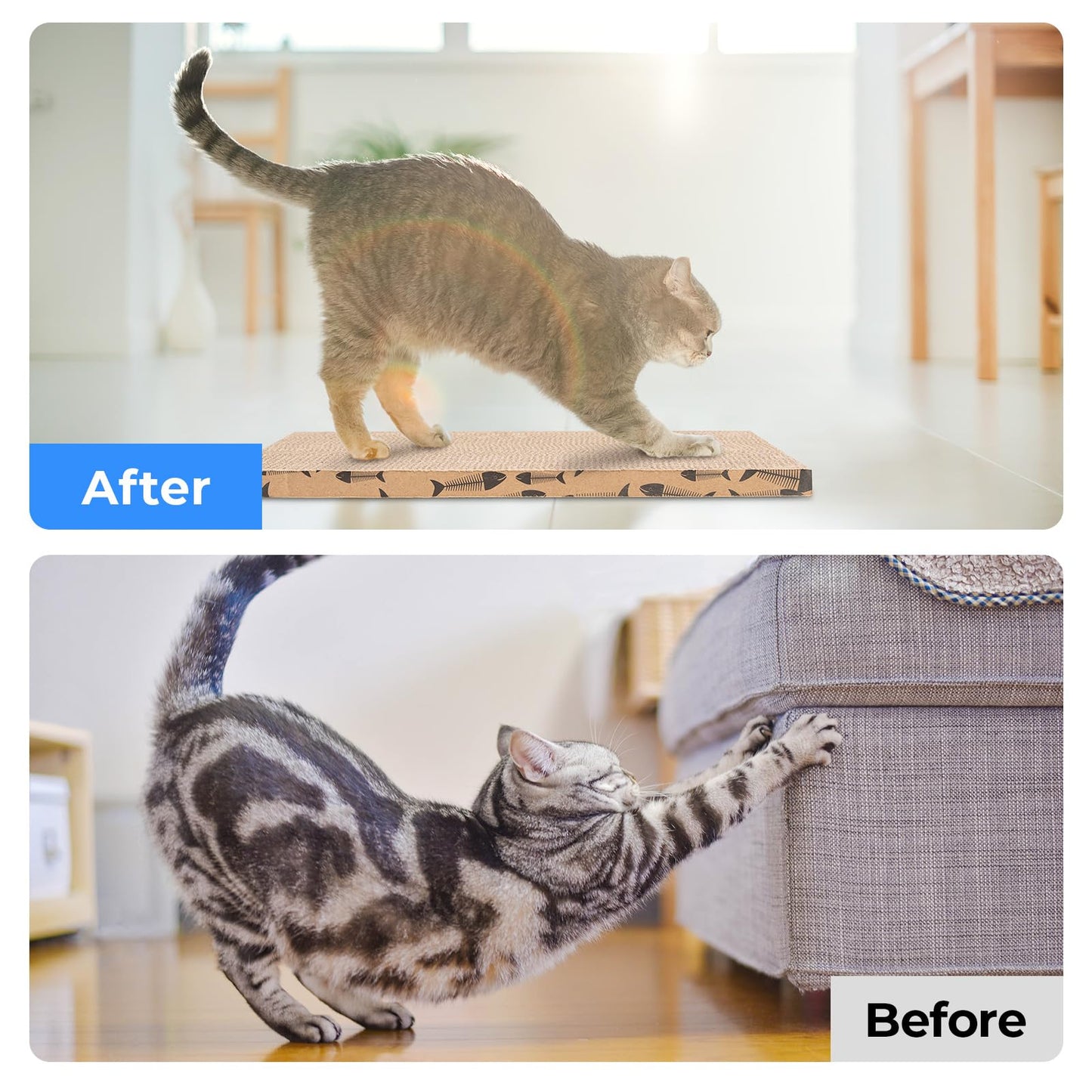 Roadtofree Katzenkratzbrett aus Pappe, Katzenkratzbrett für Wohnungskatzen, Katzenkratzmatte (1 Stück)