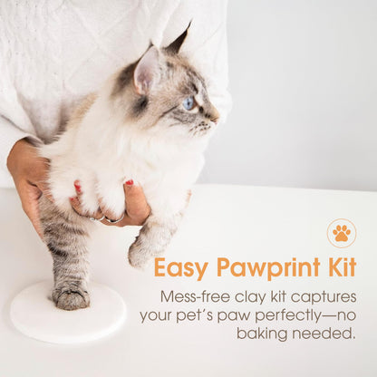 Pearhead Bilderrahmen für Haustierpfotenabdrücke mit Abdruckset aus Ton – Holzrahmen für Haustierpfotenabdrücke, DIY-Erinnerungsstück für Katzen und Hunde, saubere Knete für perfekte Pfotenabdrücke, ideale Dekoration und Geschenkidee, Schwarz
