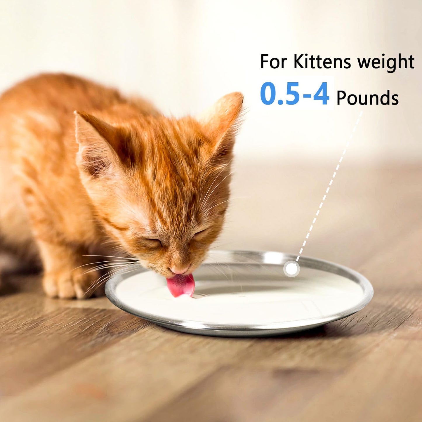 Edelstahl-Katzennäpfe für Futter und Wasser, geeignet für Kätzchen und Katzenbabys, zur Linderung von Schnurrhaarermüdung – 2er-Set, flache Ausführung