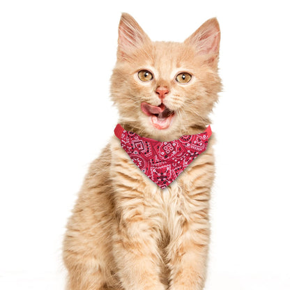 XIMA 6er-Set Katzenhalsbänder mit abnehmbarer Fliege für Katzen, Welpen, Kätzchen und kleine Hunde – verstellbare Halsbänder