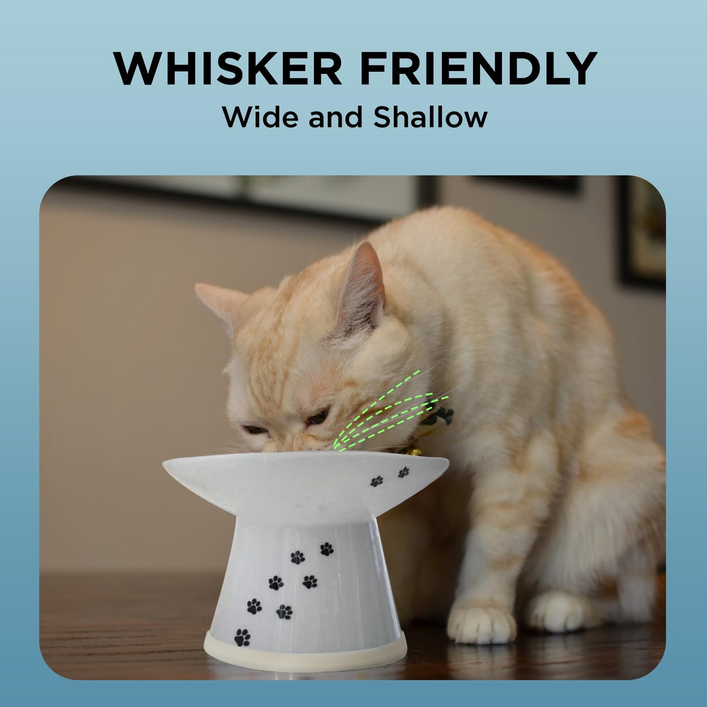 Necoichi Erhöhter Katzennapf - Keramik-Napf mit erhöhter Höhe zur Entlastung von Schnurrhaaren und Nacken, spülmaschinen- und mikrowellengeeignet - rutschfest und erbrechenshemmend, ergonomisches Design (Katzen, extra breit, 2 Tassen Fassungsvermögen)