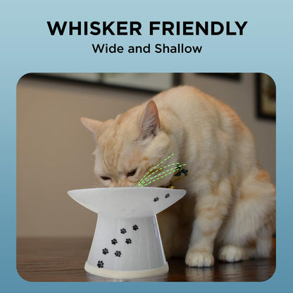 Necoichi Erhöhter Katzennapf - Keramik-Napf mit erhöhter Höhe zur Entlastung von Schnurrhaaren und Nacken, spülmaschinen- und mikrowellengeeignet - rutschfest und erbrechenshemmend, ergonomisches Design (Katzen, extra breit, 2 Tassen Fassungsvermögen)