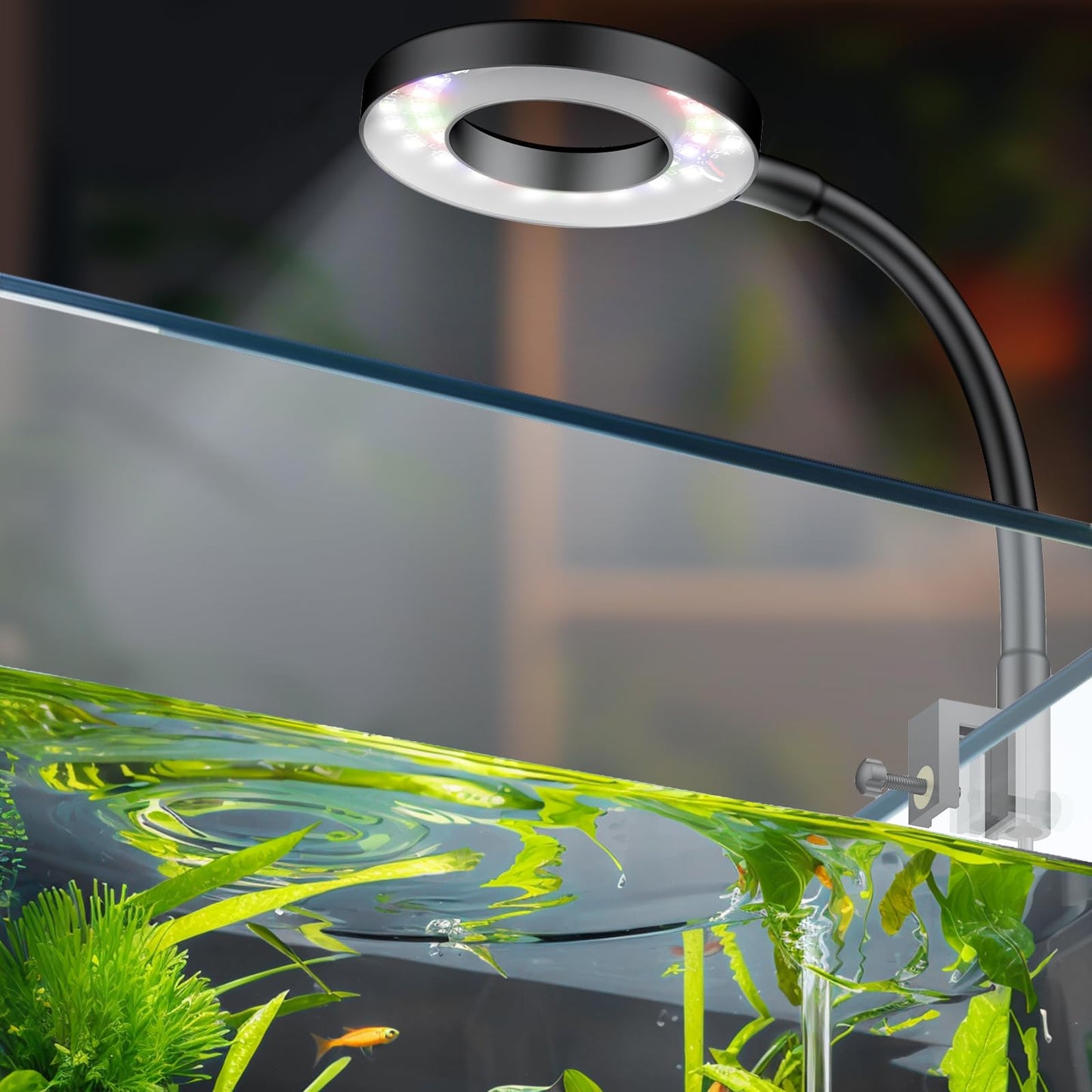 Pawfly 6 W LED-Aquarienleuchte für 1 bis 5 Gallonen Aquarien, Clip-On-Aquarienleuchte, USB-betriebene Aquariumlampe mit Vollspektrum, dimmbare weiße, blaue, rote und grüne Lichter mit Timer (Adapter nicht im Lieferumfang enthalten)