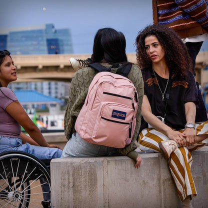 JanSport Laptop Backpack - Computer Bag with 2 Compartments, Ergonomic Shoulder Straps, 15” Laptop Sleeve, Haul Handle - Book Rucksack - Strawberry Shower