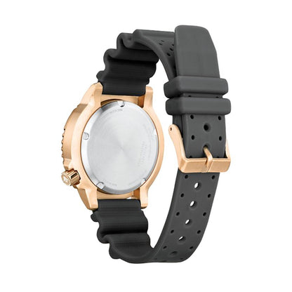 V4HB0FB7A20FC84A6FD3DC596EAC97581BBR5681888P5