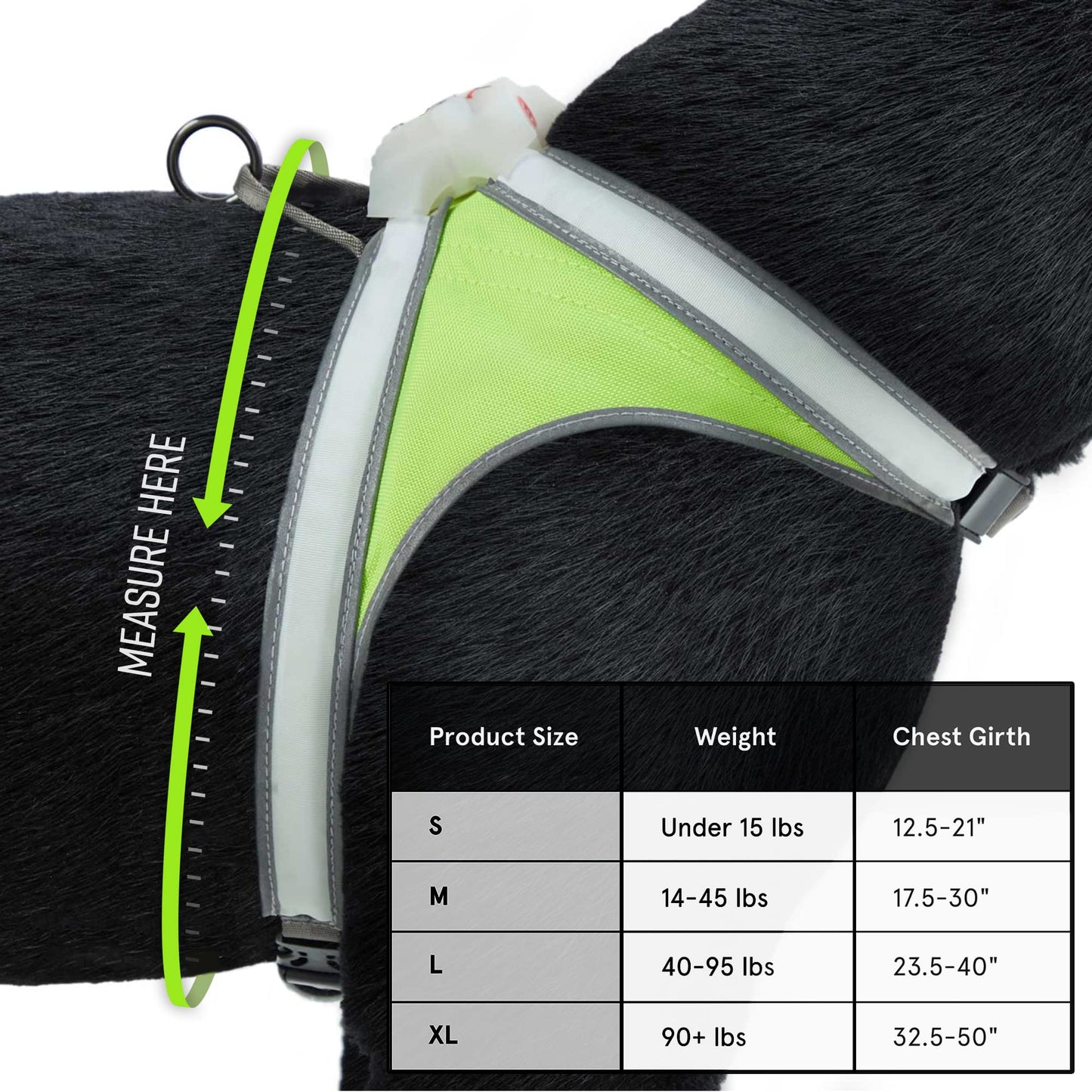 Noxgear LightHound - Revolutionäres beleuchtetes und reflektierendes Hundegeschirr mit mehrfarbigen LED-Lichtleitern (USB-aufladbar, verstellbar, leicht, regendicht) (Größe L)