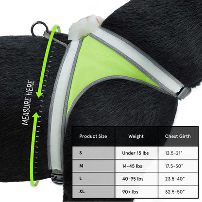 Noxgear LightHound - Revolutionäres beleuchtetes und reflektierendes Hundegeschirr mit mehrfarbigen LED-Lichtleitern (USB-aufladbar, verstellbar, leicht, regendicht) (Größe L)