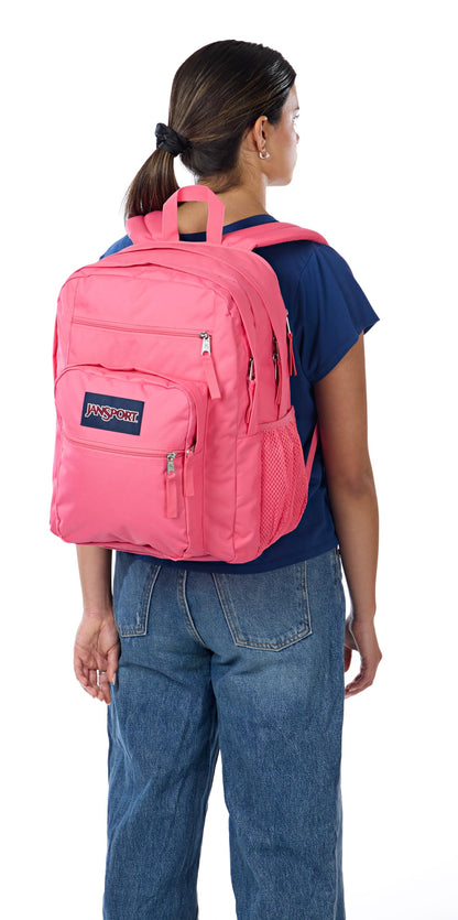 JanSport Laptop Backpack - Computer Bag with 2 Compartments, Ergonomic Shoulder Straps, 15” Laptop Sleeve, Haul Handle - Book Rucksack - Strawberry Shower