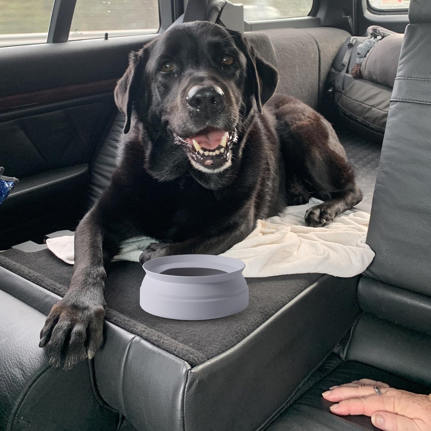 SLSON Auslaufsicherer Hundenapf für Autos, faltbarer, spritzfreier Reisenapf aus integriertem Formteil, tragbarer Haustiernapf für Auto, LKW, Wohnmobil, SUV, Boot (Kaltgrau)