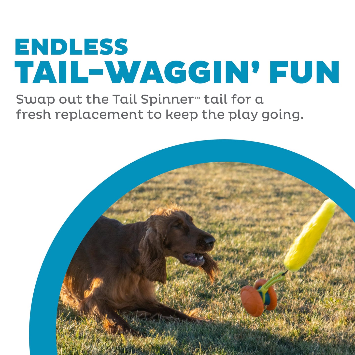 Outward Hound Tail Teaser Ersatzköder für Hunde-Teaserstab, Fuchs 