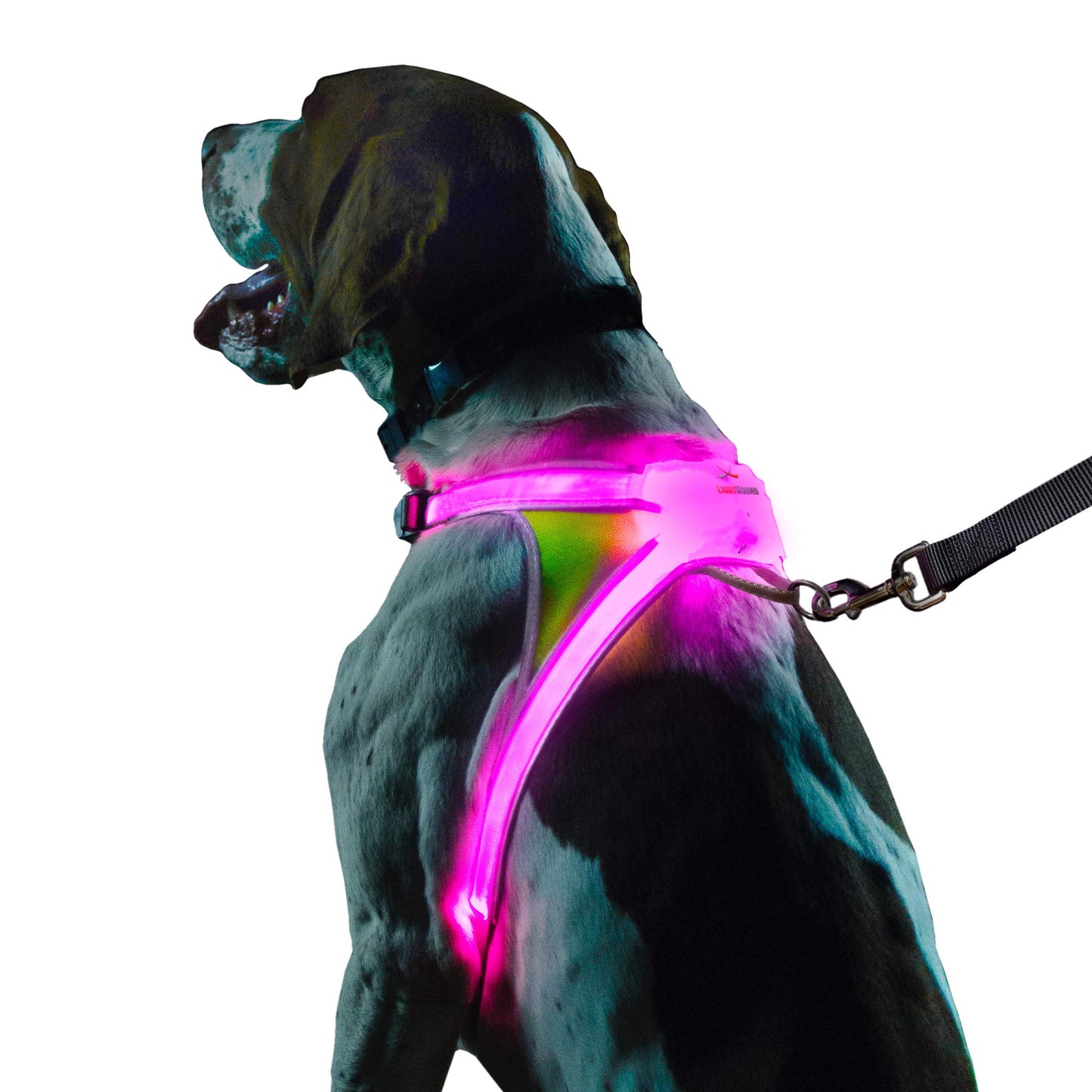 Noxgear LightHound - Revolutionäres beleuchtetes und reflektierendes Hundegeschirr mit mehrfarbigen LED-Lichtleitern (USB-aufladbar, verstellbar, leicht, regendicht) (Größe L)