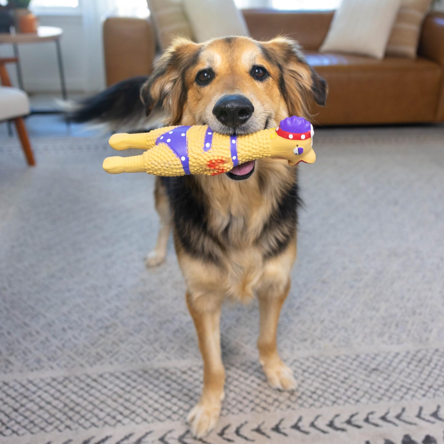 Outward Hound von Charming Pet Squawkers: Henrietta Quietschhuhn aus Latex, lustiges interaktives Hundespielzeug für die Feiertage, große Größe