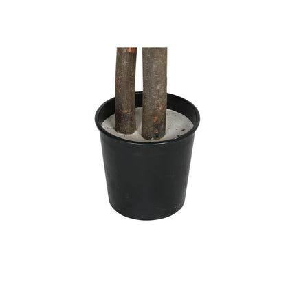 V9H60F8A9BB69988747F5E87C145980A4D6R6381729P4