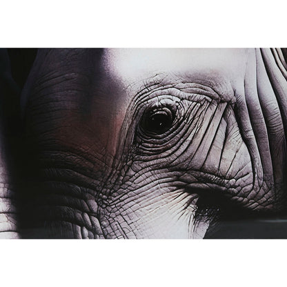 V5HD8455B5CD53F2D13102131529DB5AE99R6373147P3