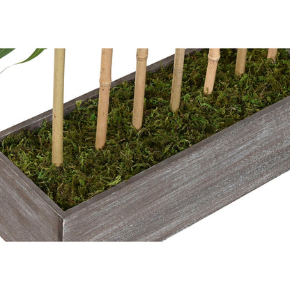 V2HE1E906FEB9C0809CE4180B2D805CA7F7R7521818P4