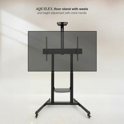 V4H0612016B7066072A49992087C455131ER6925842P6