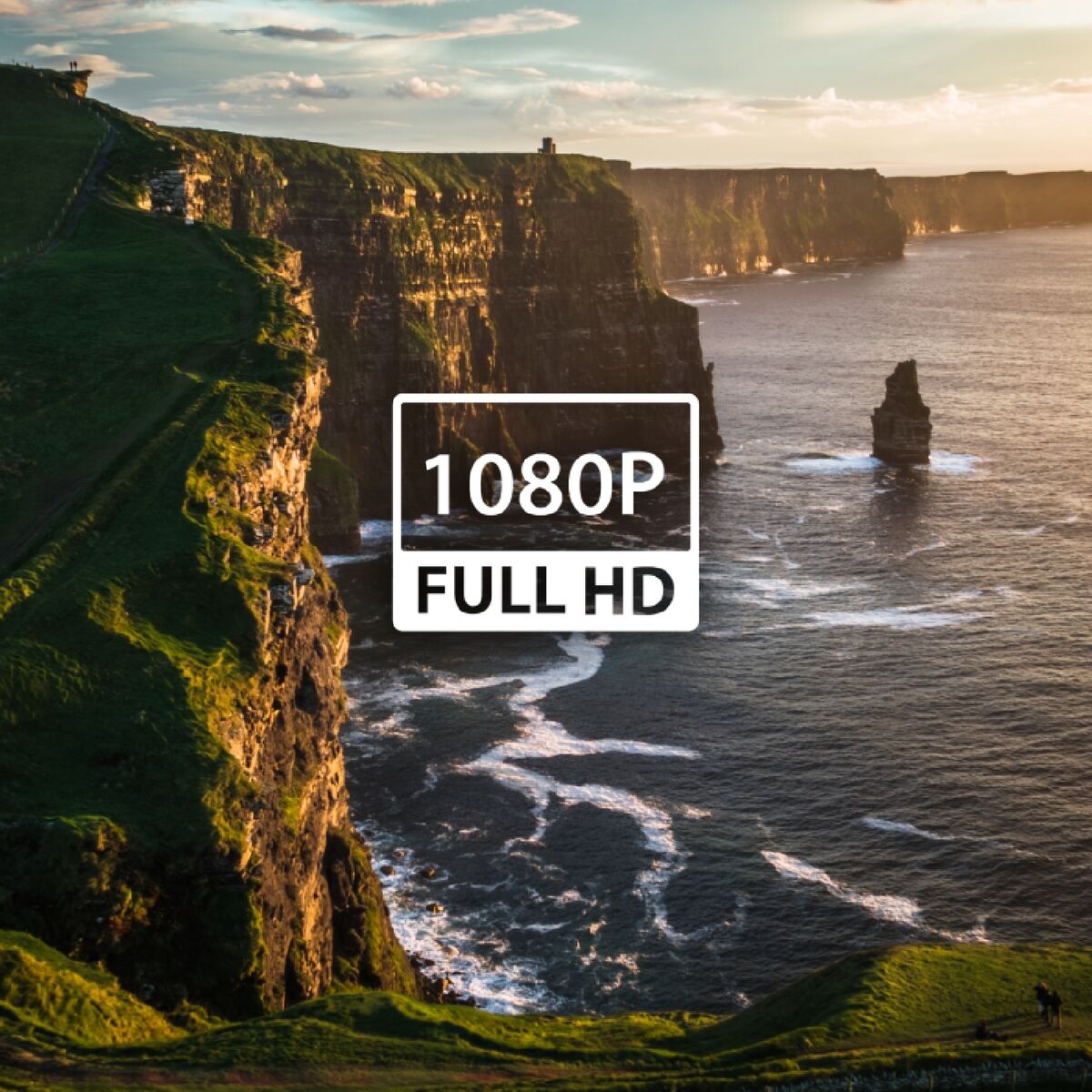 V5HC14C028DA9209D80E9843C4F6C9410FFR7402887P4