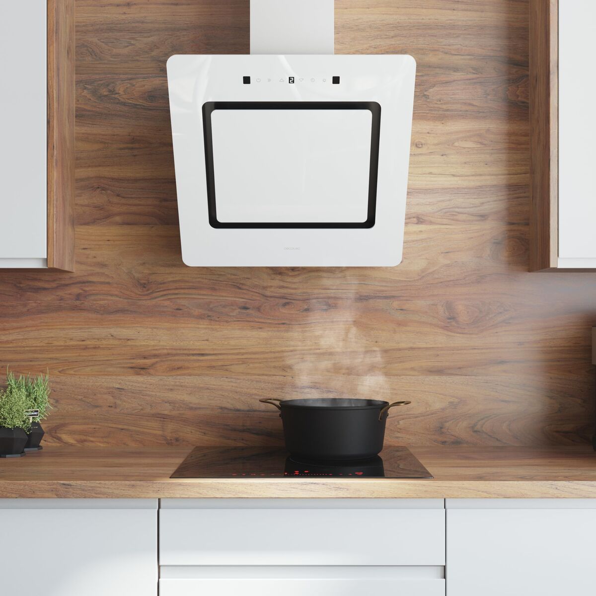 V2H233CB221BE855238FF3B4B4CAFF844A2R7508895P6