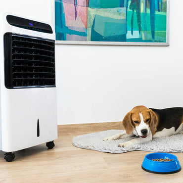 V11HEAA9BF26B50A8FF181A6798DA961959ER4153784P2