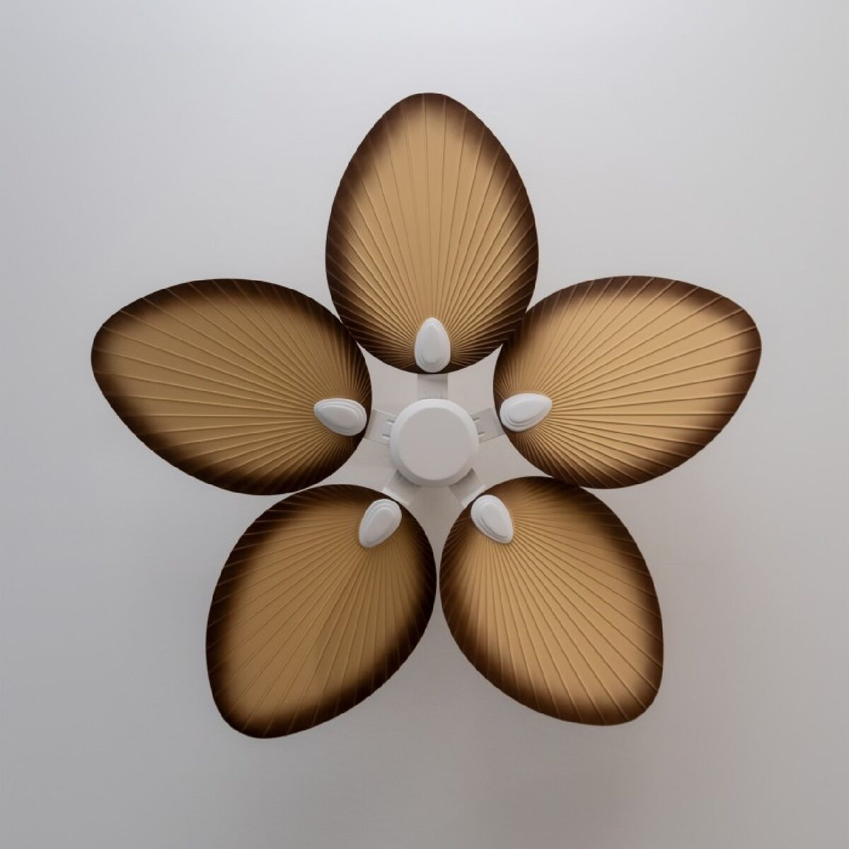 V5H5F99B33A1E4F8075DE786D1A5DDE2F25R7345205P4