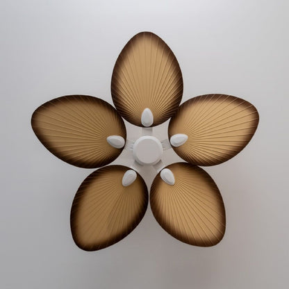 V7H5F99B33A1E4F8075DE786D1A5DDE2F25R7345205P4