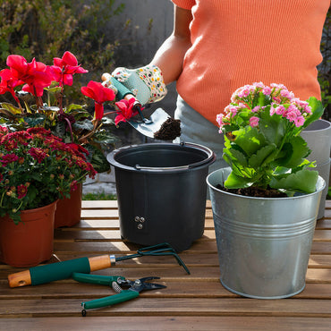 V8HC0A3675F1E749D3D37ABB7FAABBDBCBBR5279562P2