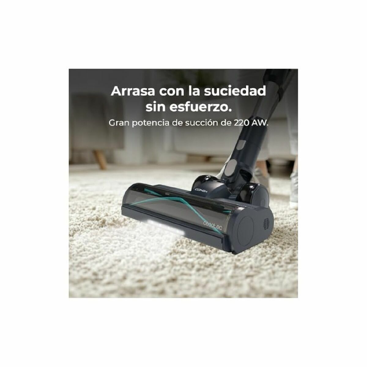 V2HD0E6D1BEB84F50ECD5DBE31921442168R5578622P2