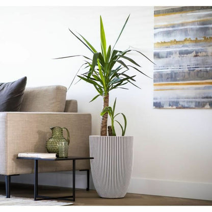 V4H69F0326BBDD0EA98A4F965D114AC68C4R5081427P3