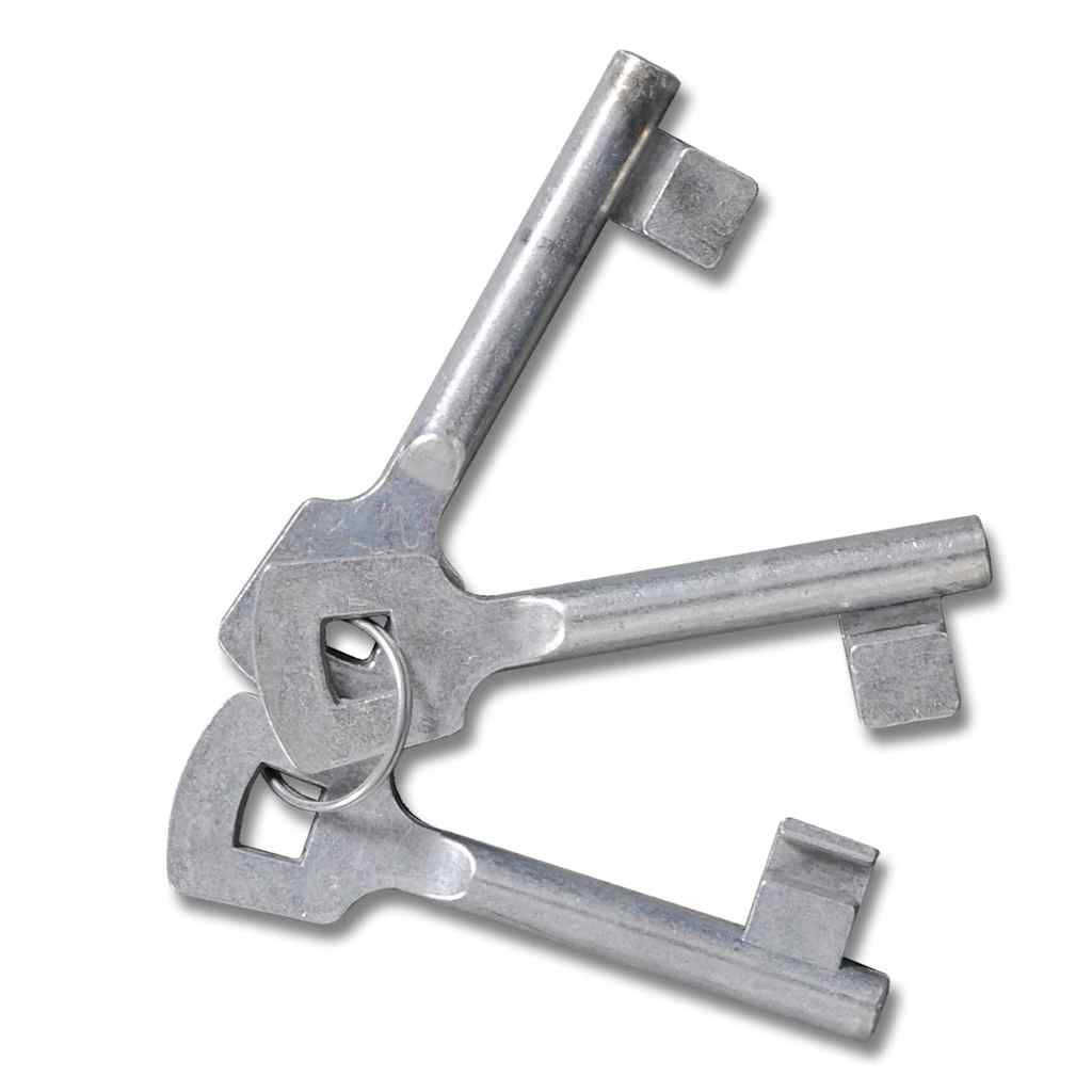 Zauntor Stahl 300x100 cm Grün