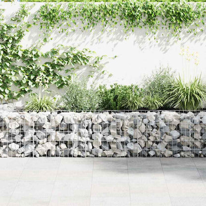 vidaXL Jardinière gabion Bac à fleurs surélevé Acier 300 x 30 x 50 cm