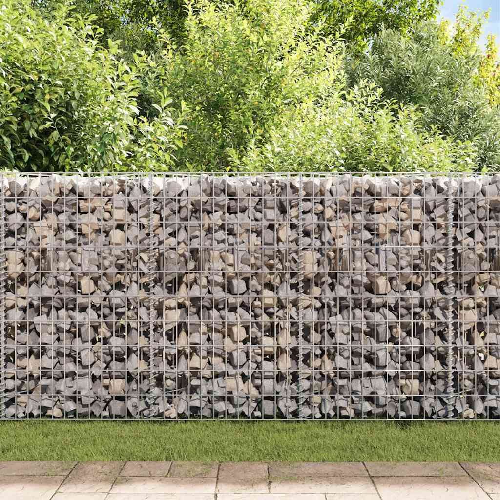vidaXL Jardinière gabion Bac de culture surélevé en acier 120 x 30 x 50 cm
