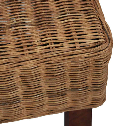 vidaXL Chaises de salle à manger 2 pcs Marron Rotin naturel