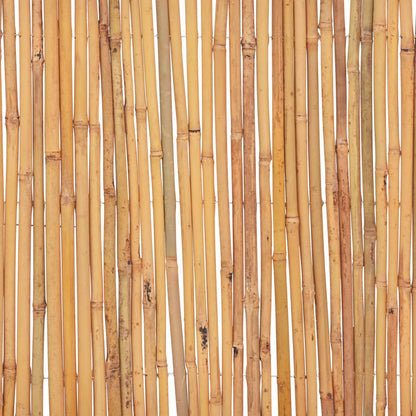 vidaXL Clôture de jardin en bambou 500 x 30 cm