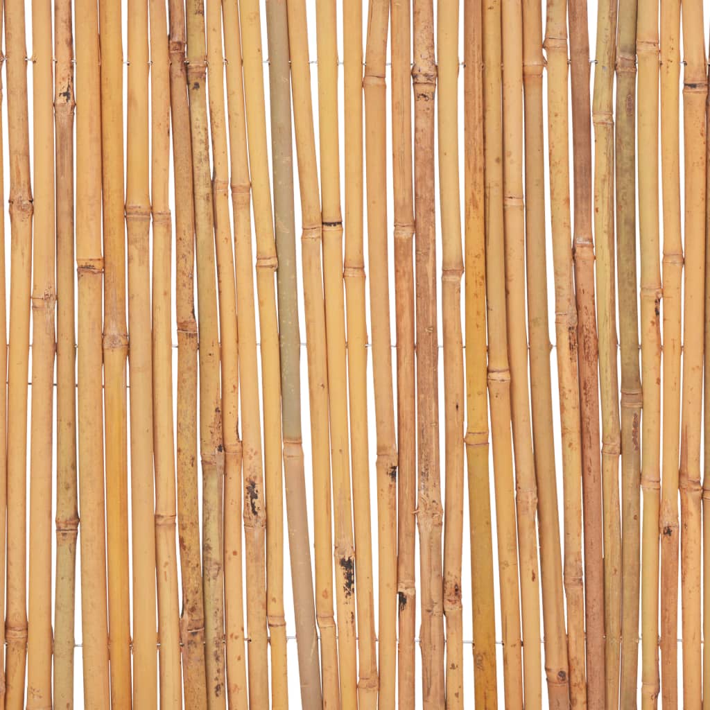vidaXL Clôture de jardin en bambou 500 x 50 cm