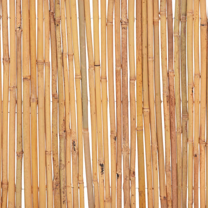 vidaXL Clôture de jardin en bambou 500 x 50 cm