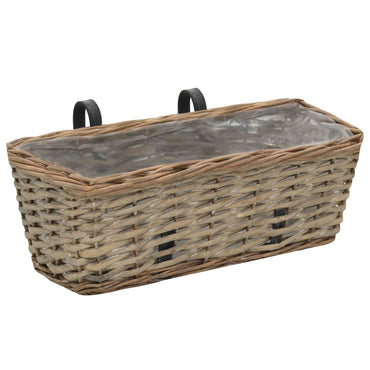 vidaXL Jardinières de balcon 2 pcs Osier avec doublure en PE 40 cm