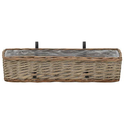 vidaXL Jardinières de balcon 2 pcs Osier avec doublure en PE 60 cm