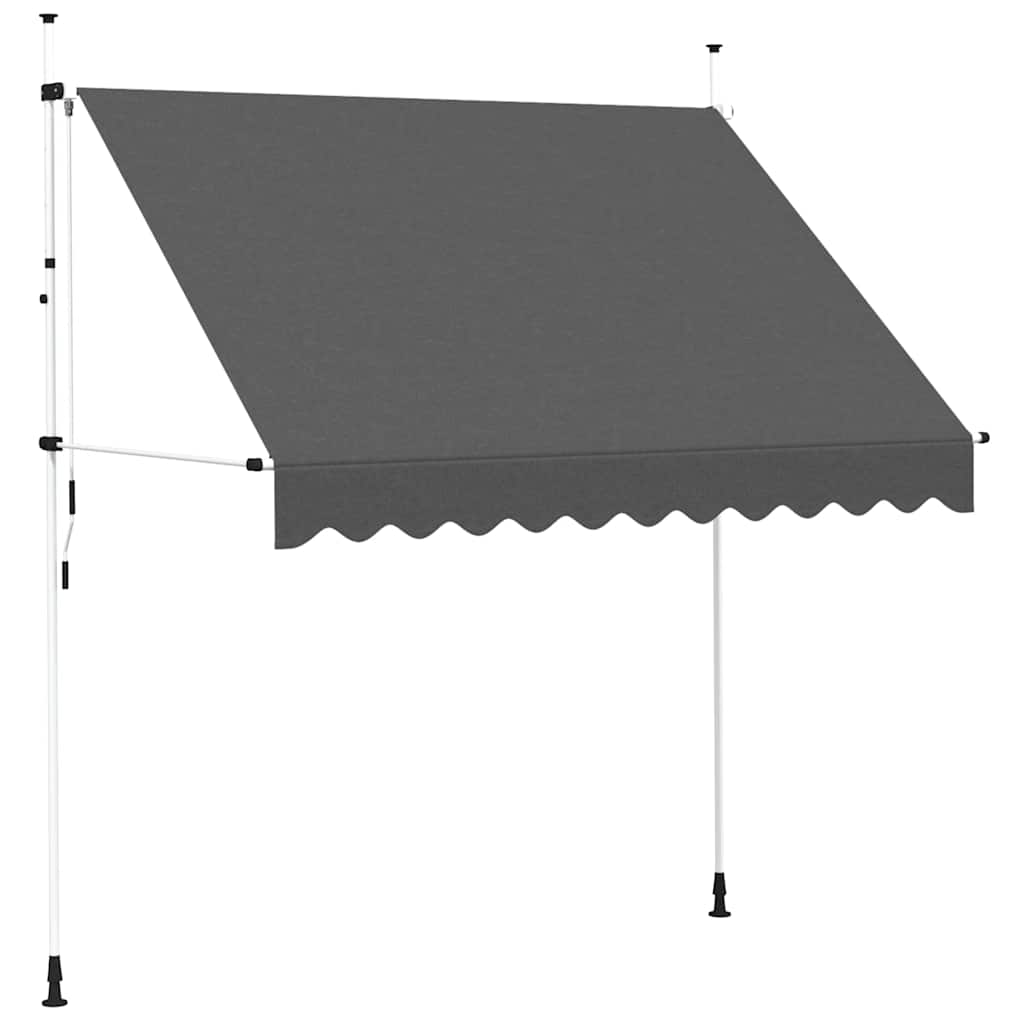 vidaXL Store banne manuel rétractable 250 cm anthracite