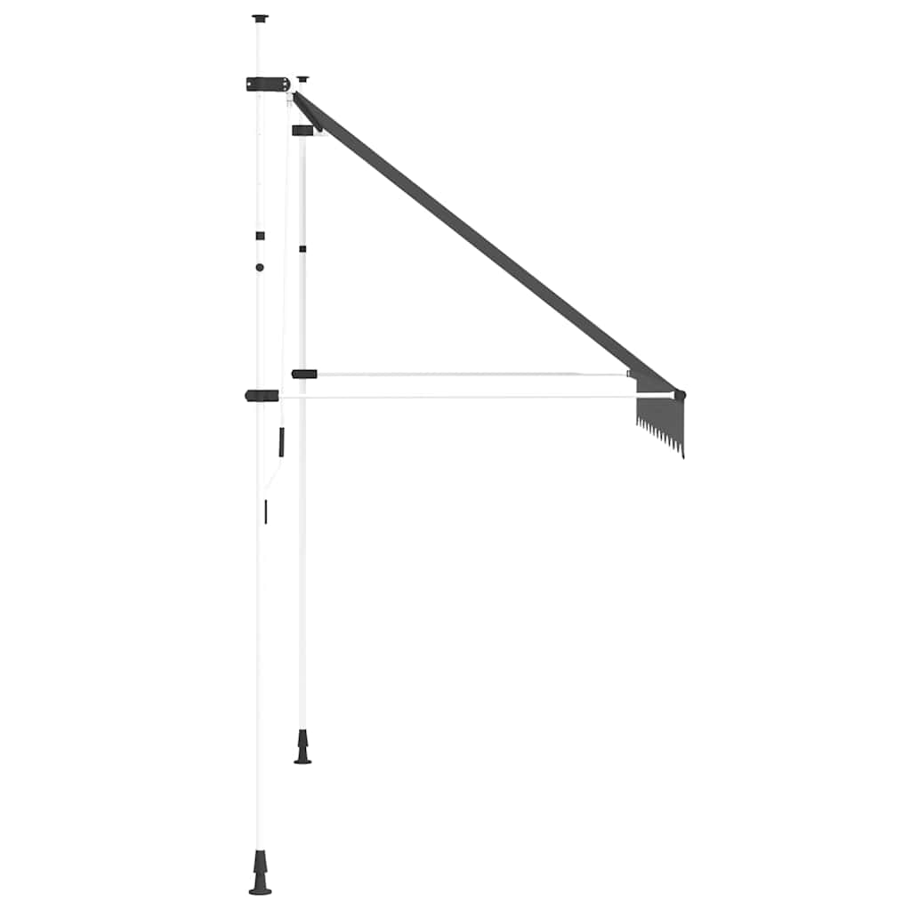 vidaXL Store banne manuel rétractable 250 cm anthracite